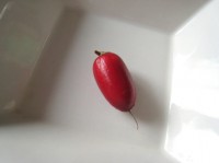 mi03 mi03